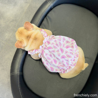 Dog Watermelon Dress for small medium dogs 