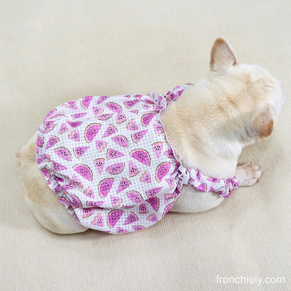 Dog Watermelon Dress for small medium dogs 