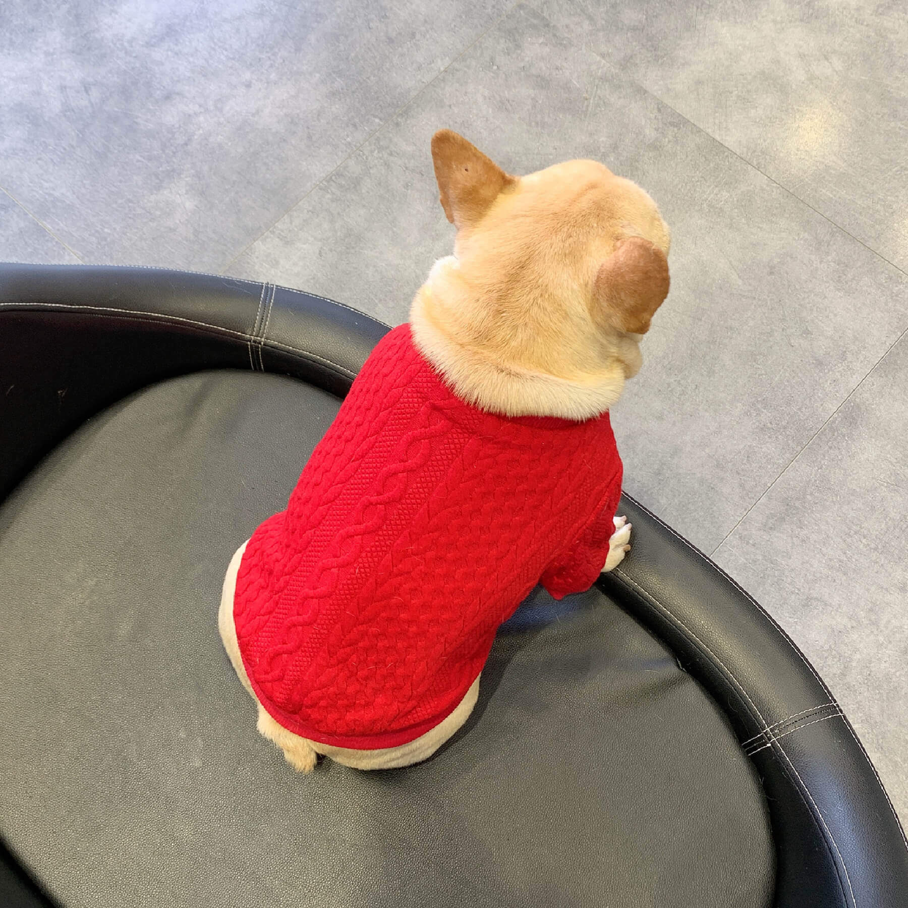 SUPER WARM Dog Sweater – Frenchiely