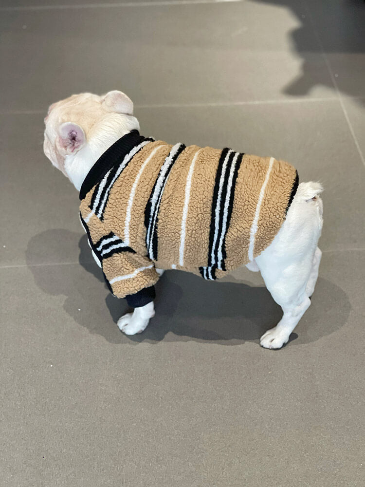 dog winter warm striped jacket coat for small medium dogs by Frenchiely