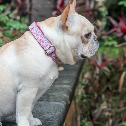 Floral Dog Collar for Female Dogs - Frenchiely