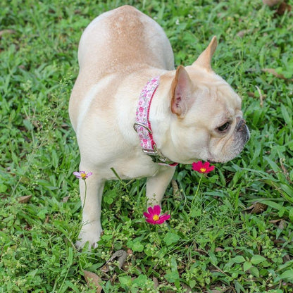 Floral Dog Collar for Female Dogs - Frenchiely