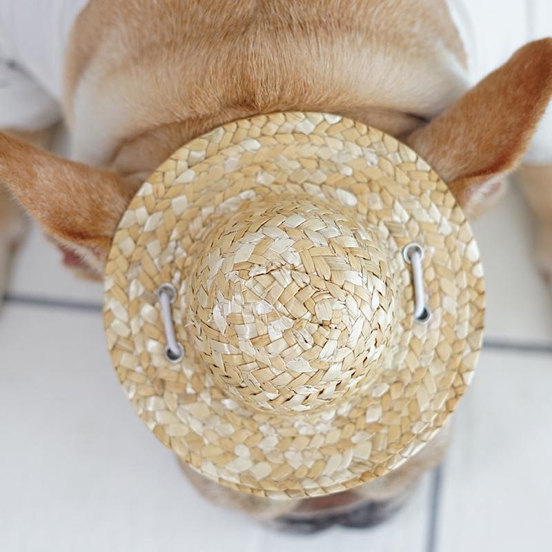 https://www.frenchiely.com/cdn/shop/products/french-bulldog-summer-straw-hat-cap-with-adjustable-string-frenchiely-2.jpg?v=1662723404&width=1445