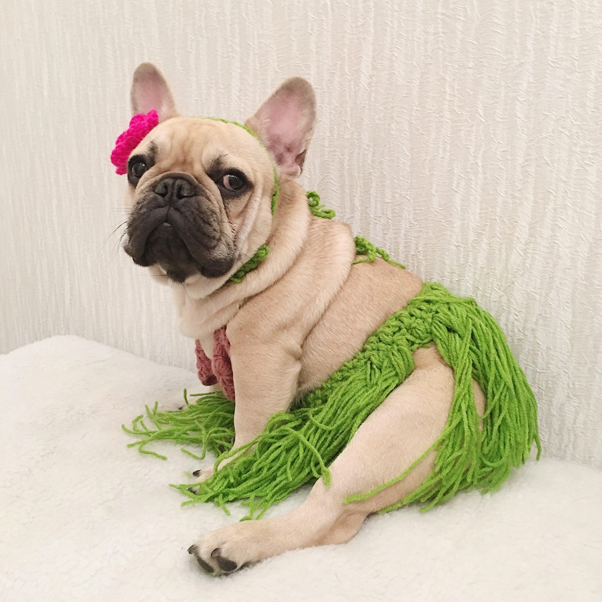 best french bulldog halloween costumes, french costumes