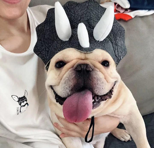 Dog Cartoon Dinosaur Hat for Medium Dogs - Frenchiely