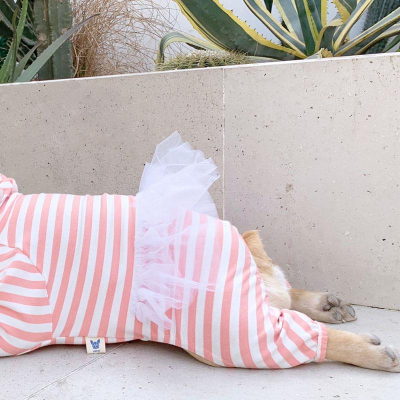 Stripe Jumpsuit for French Bulldog - Frenchiely