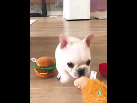 Hamburger Fried Chips Dog Plush Squeaky Toy by Frenchiely