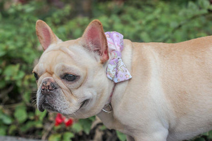 Dog Unicorn Collar with Bow Tie for Medium Dogs - Frenchiely