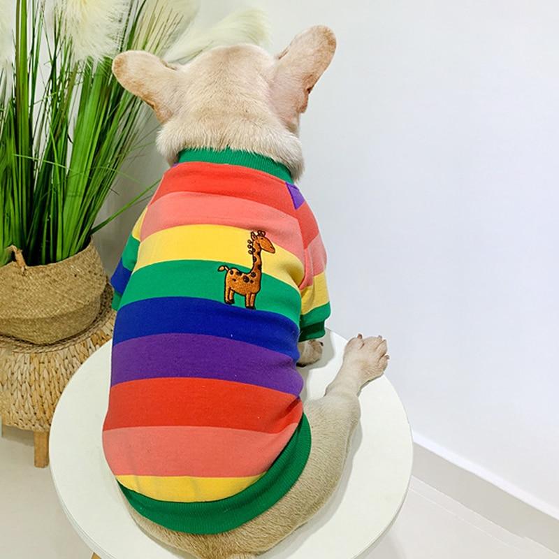 The Top Designer Brands That Offer Matching Outfits For You And Your Dog 