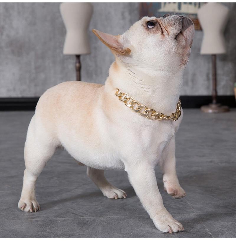 French bulldog hot sale cuban link