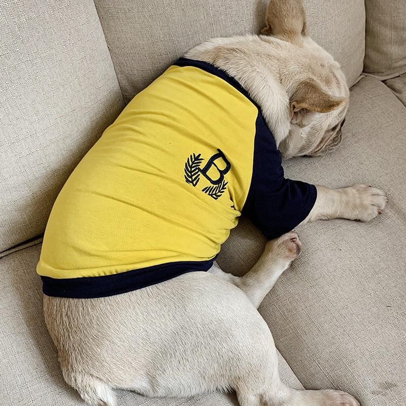 Summer Matching Shirts for Human and Dog - Frenchiely