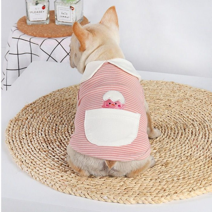 puppy french bulldog clothes