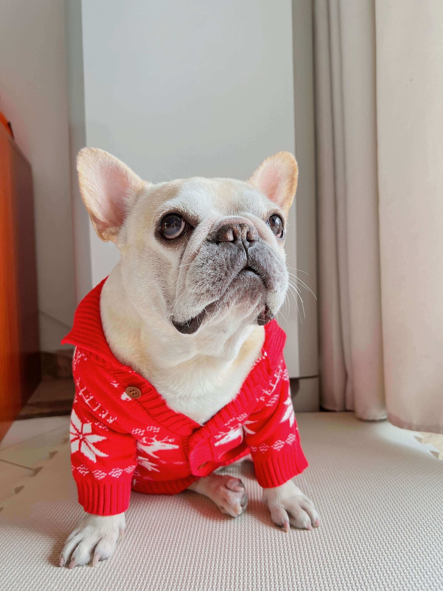 Dog red Christmas outfits sweater for small medium dogs by Frenchiely