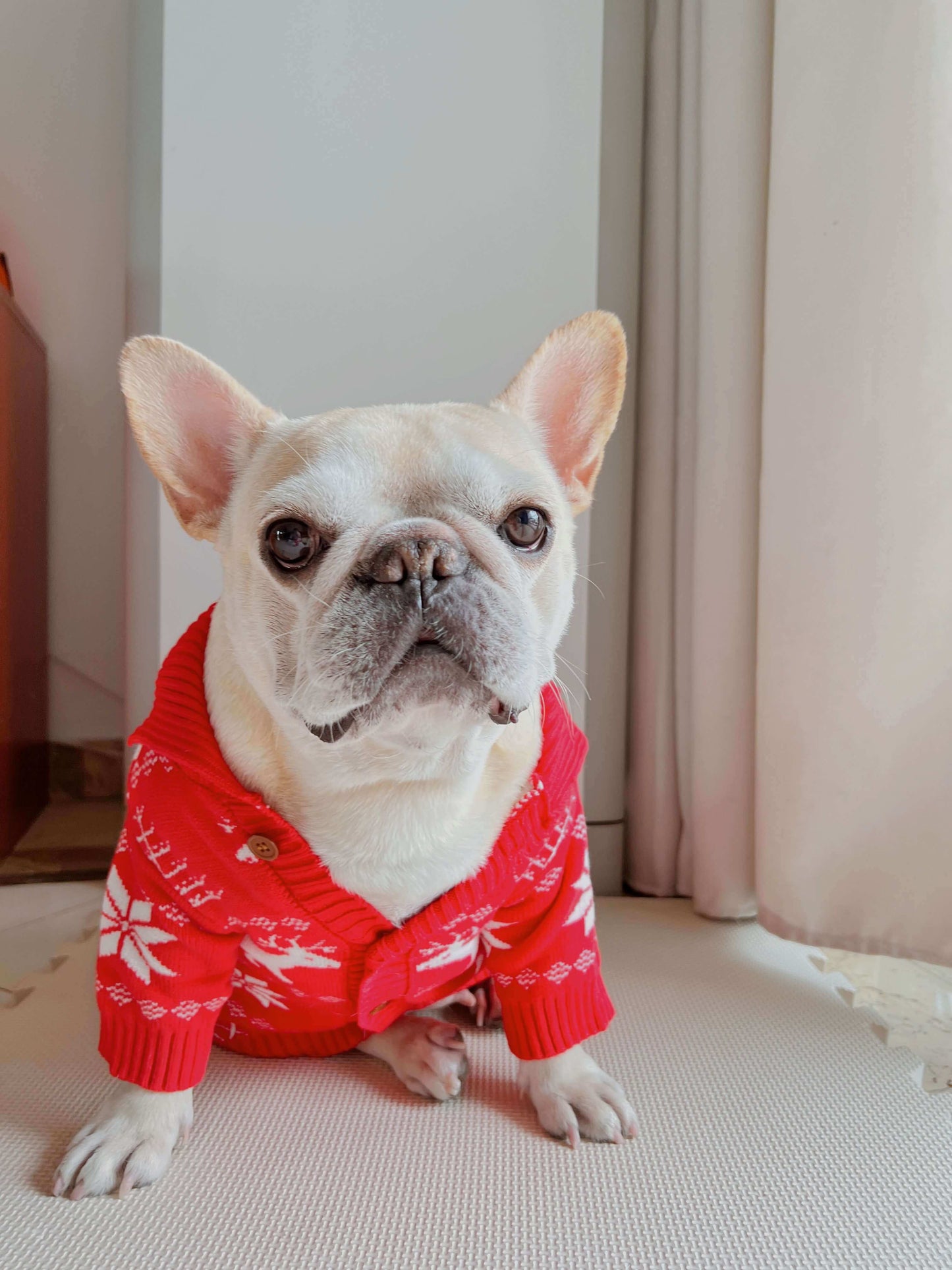 Dog red Christmas outfits sweater for small medium dogs by Frenchiely