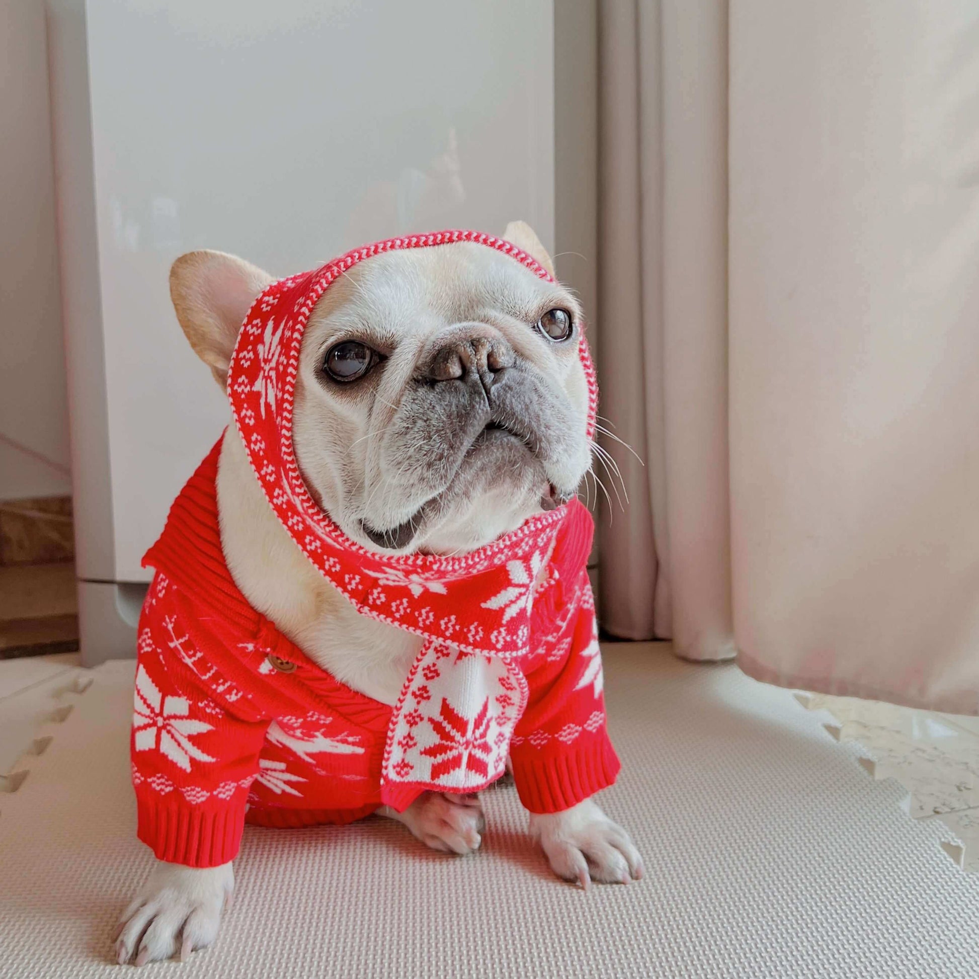 Dog red Christmas outfits sweater for small medium dogs by Frenchiely