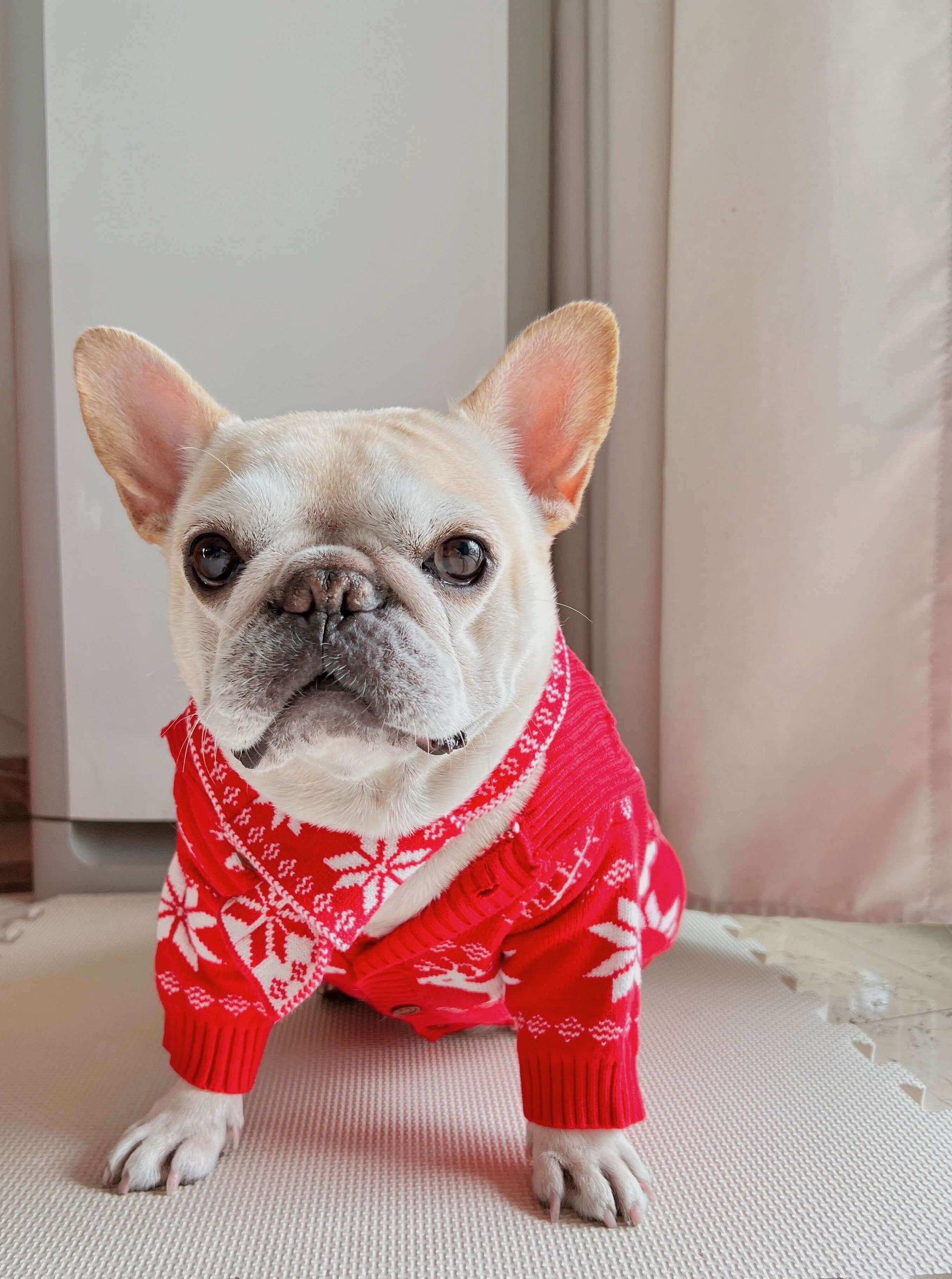 Dog red Christmas outfits sweater for small medium dogs by Frenchiely